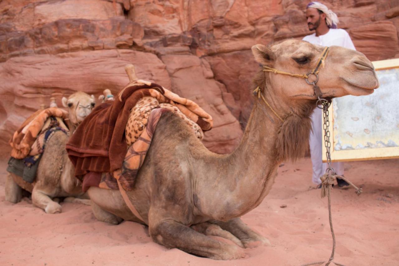 Wadi Rum Desert Home 外观 照片