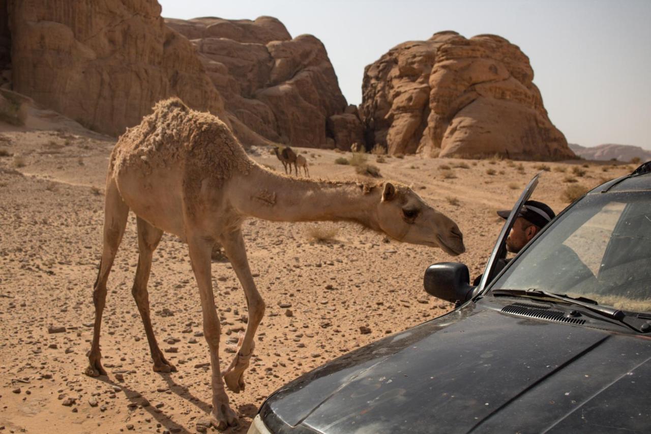 Wadi Rum Desert Home 外观 照片